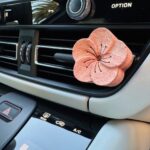 Essential Oils Gift Set with Car Diffuser
