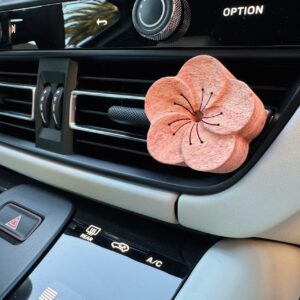 Essential Oils Gift Set with Car Diffuser