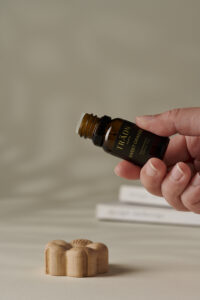 Essential Oils Gift Set with Car Diffuser