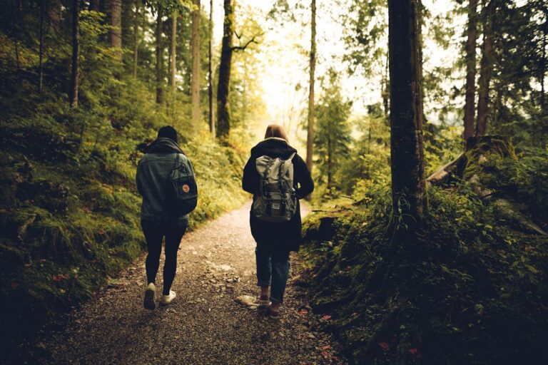 Walking in Nature for Mental Health Benefits