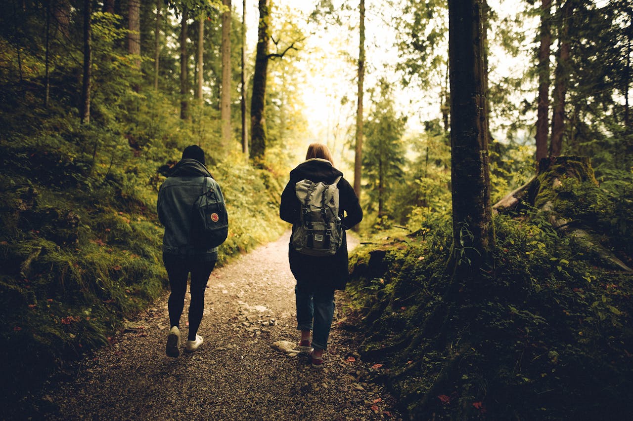 Walking in Nature for Mental Health Benefits